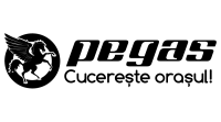 Pegas srl