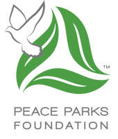 Peace parks foundation