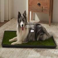 Meexpaws.com