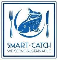 Smartcatch llc