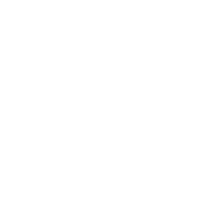 Dragon tao wing chun kung fu