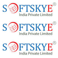 Softskye india private limited