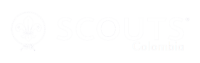 Asociación scouts de colombia