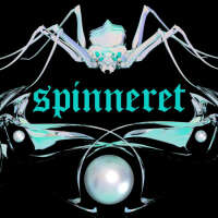 Spinneret