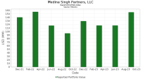 Medina singh partners, llc