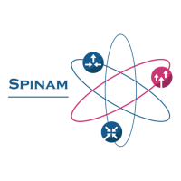 Spinam