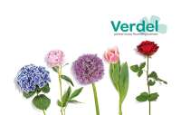 Verdel, partner in your flourishing business