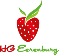 Hg eerenburg bv
