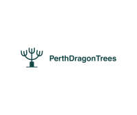 Dragon trees australia