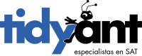 Tidyant