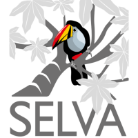 Selva: investigación para la conservación en el neotropico