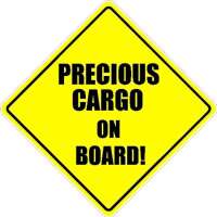 Precious cargo private car service