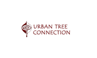Urban tree connection