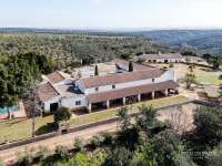 Top fincas sevilla