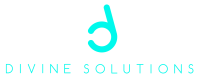 Divine solutions, llc