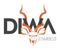Diwa zambezi