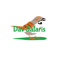 Dav Safaris