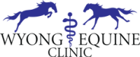 Wyong equine clinic