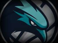 North gold coast seahawks basketball