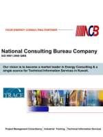 National consulting bureau co. (ncb)
