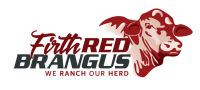 Brangus cattle breeders society rsa