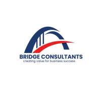 Bridge one consultants ltd