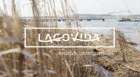 Lagovida