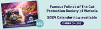 Cat protection society of victoria