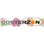 Kwekerij oosterzon