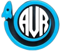 AVR Web Consulting