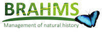 Brahms aktiengesellschaft