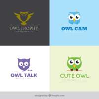 Portfolio owl