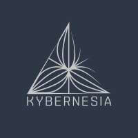 Kybernesia