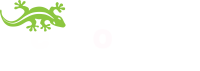 Geckorec