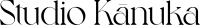 Kanuka studio limited