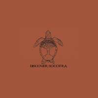 Discover Socotra