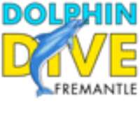 Dolphin dive fremantle