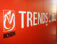 Rosen eiskrem gmbh