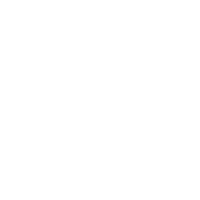 The homeslice group