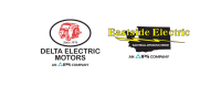 Delta electric motor repairs