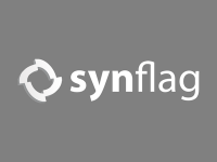Synflag web engineering