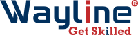 Wayline management consultants pvt.ltd.
