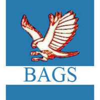 Bin awas general services
