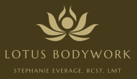 Lotus bodywork