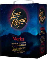 Luna negra