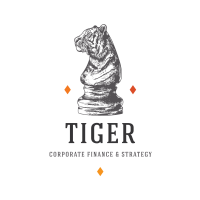 Tiger corporate finance & strategy