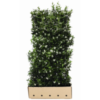 Quickhedge kant en klaar hagen