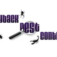Payback Pest Control