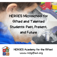 Heroes academy for the gifted