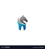 Equine dental technician